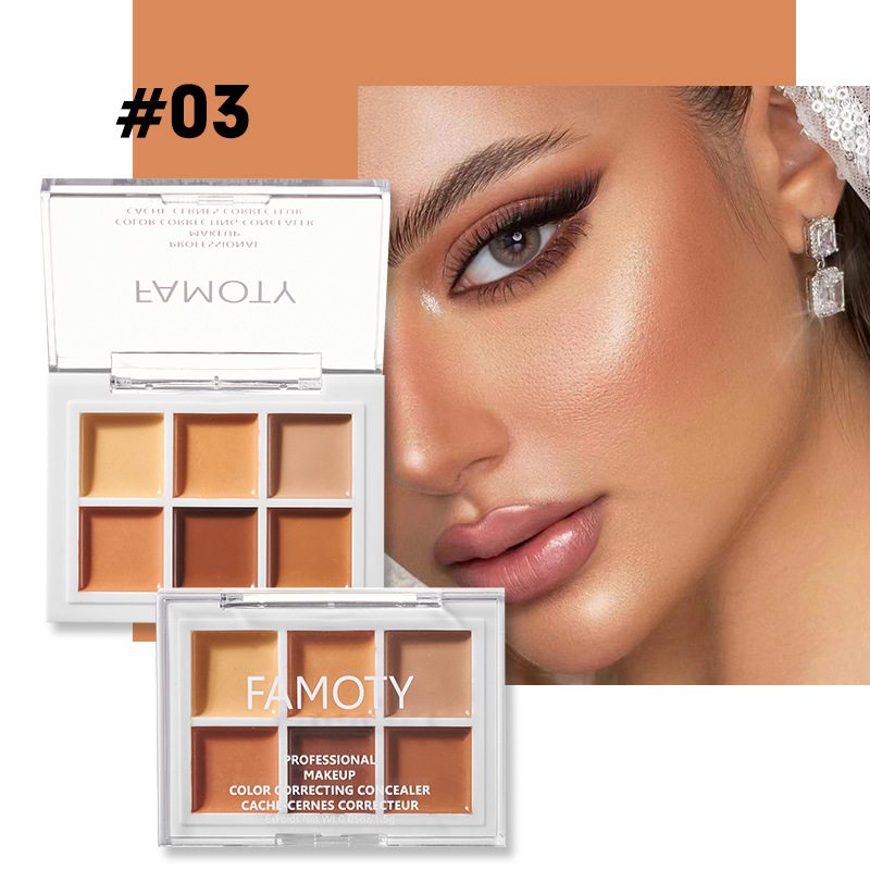 FAMOTY Color Correcting Concealer Palette Shade 3