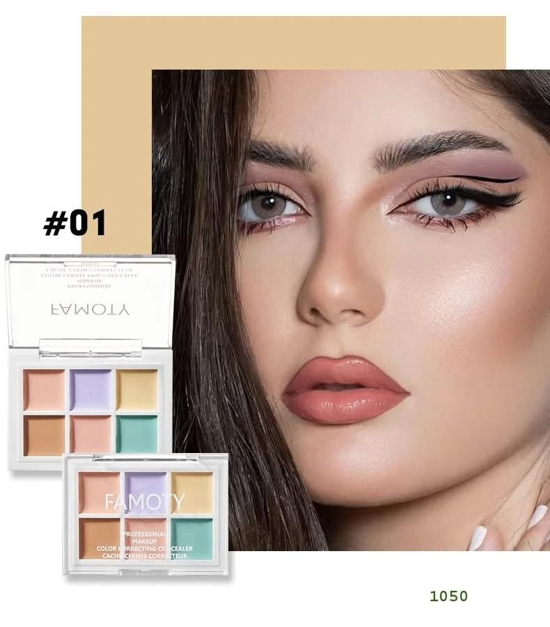 FAMOTY Color Correcting Concealer Palette Shade 1