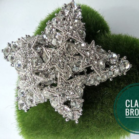 Classy brooch - Star shape