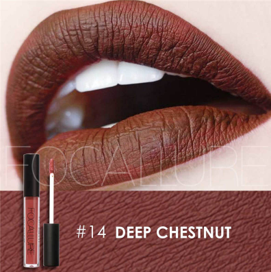 Focallure lipstick fa24 shade - 14
