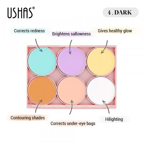 USHAS BLOOMING CHARM CONCEALER PALETTE. 04
