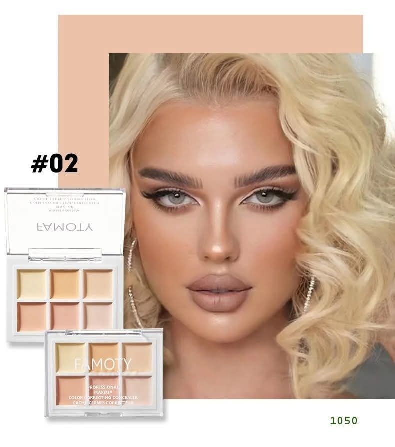 FAMOTY Color Correcting Concealer Palette Shade 2